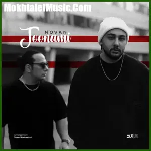 دانلود آهنگ جونمی از نوان